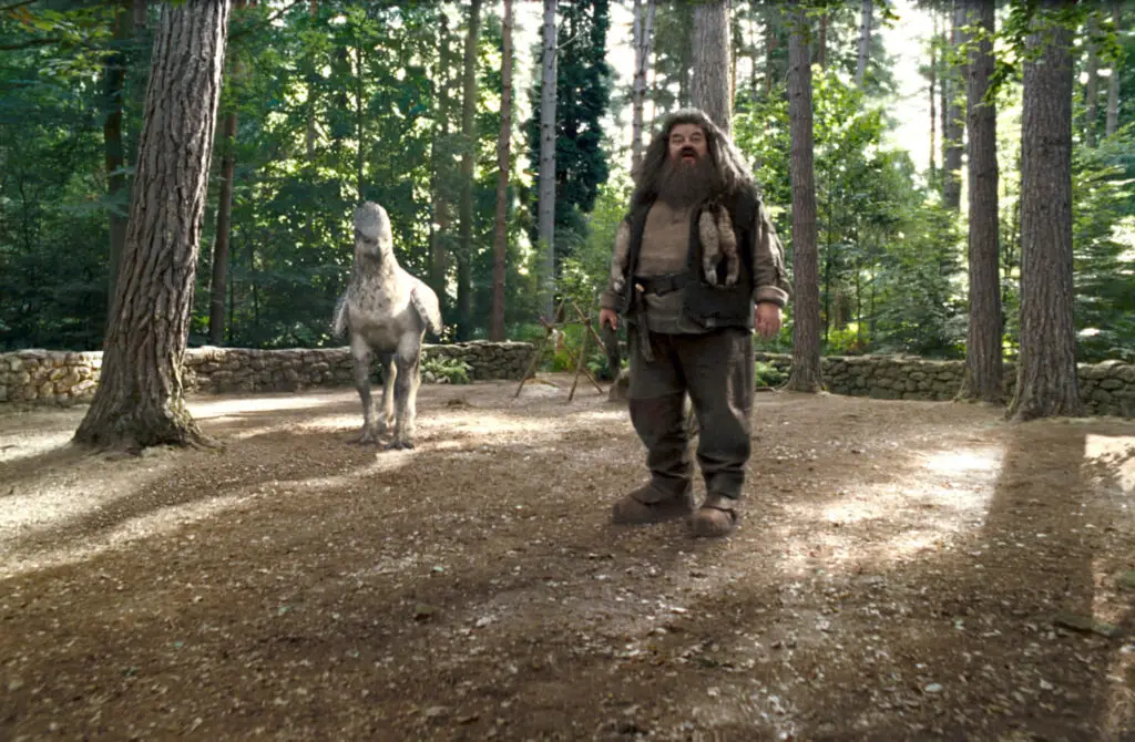 hagrid and buckbeak