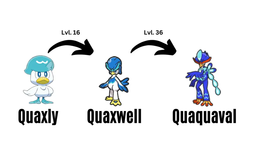 quaxly evolutions