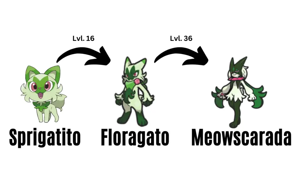 sprigatito evolutions