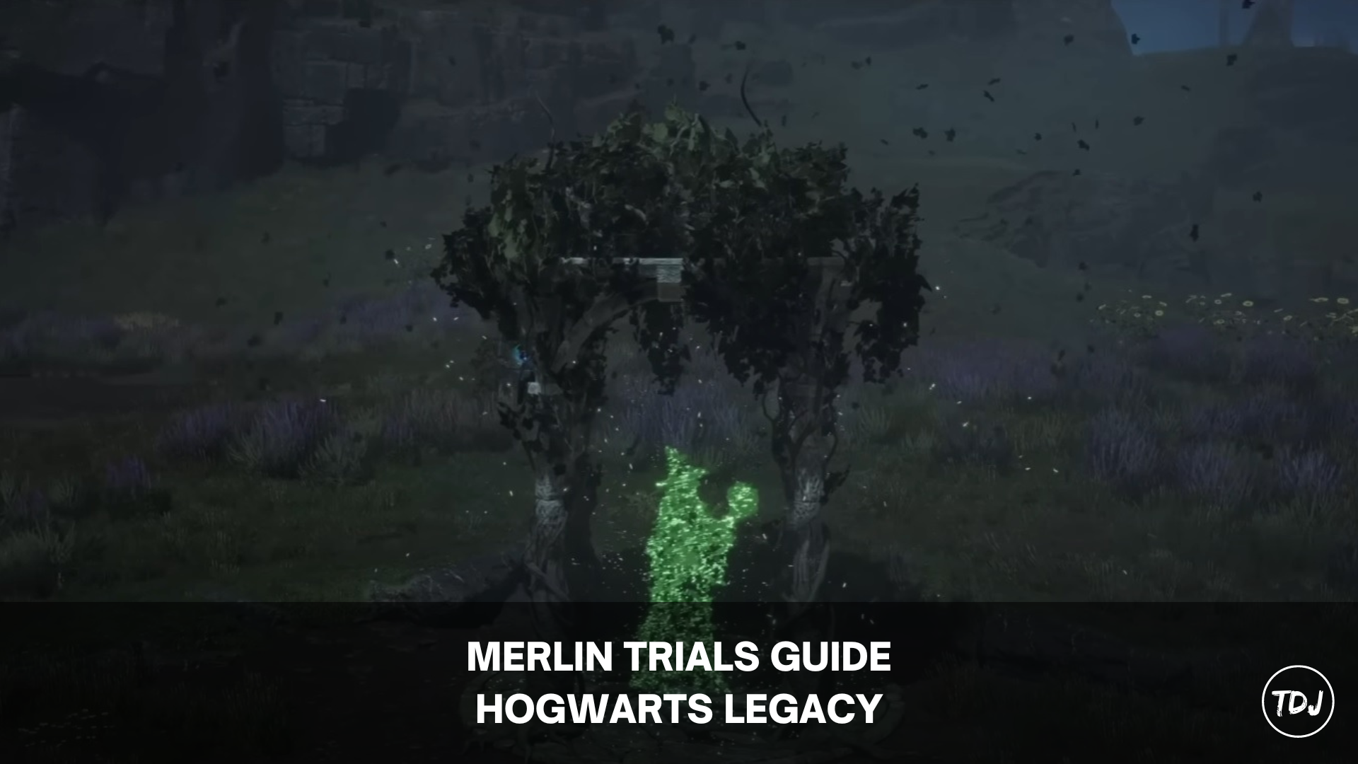 hogwarts legacy merlin trials guide