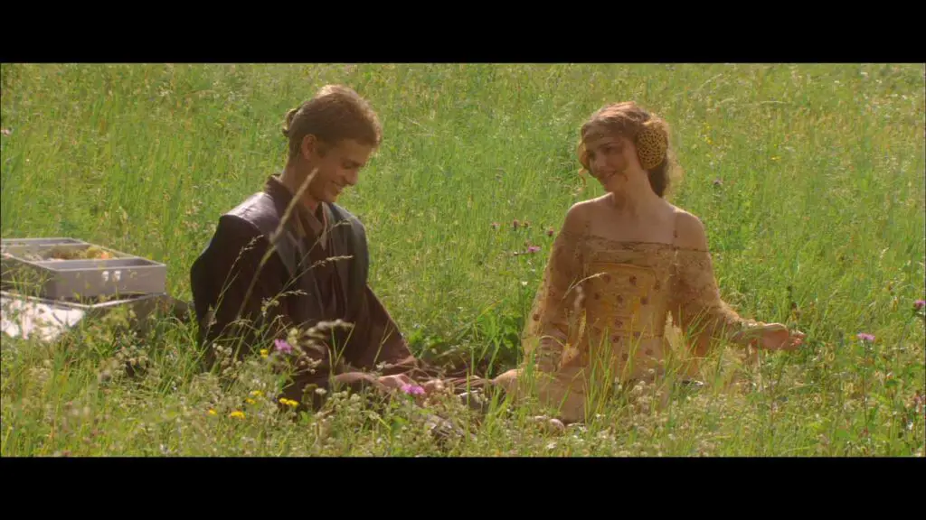 padme and anakin