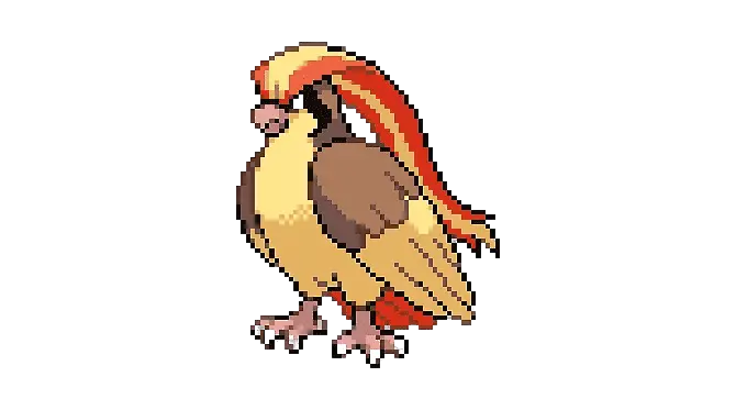 pidgeot