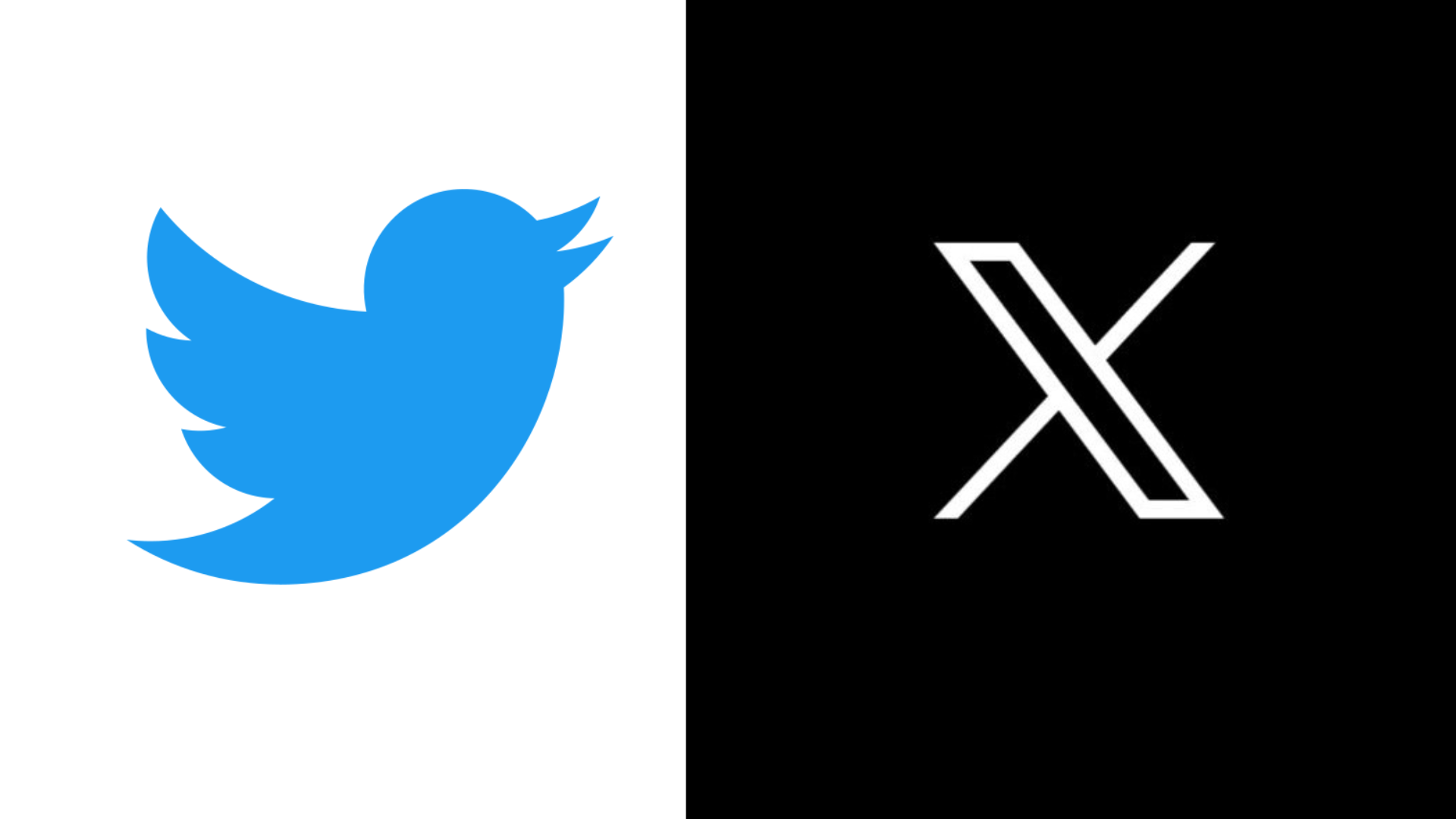 twitter rebrands to x