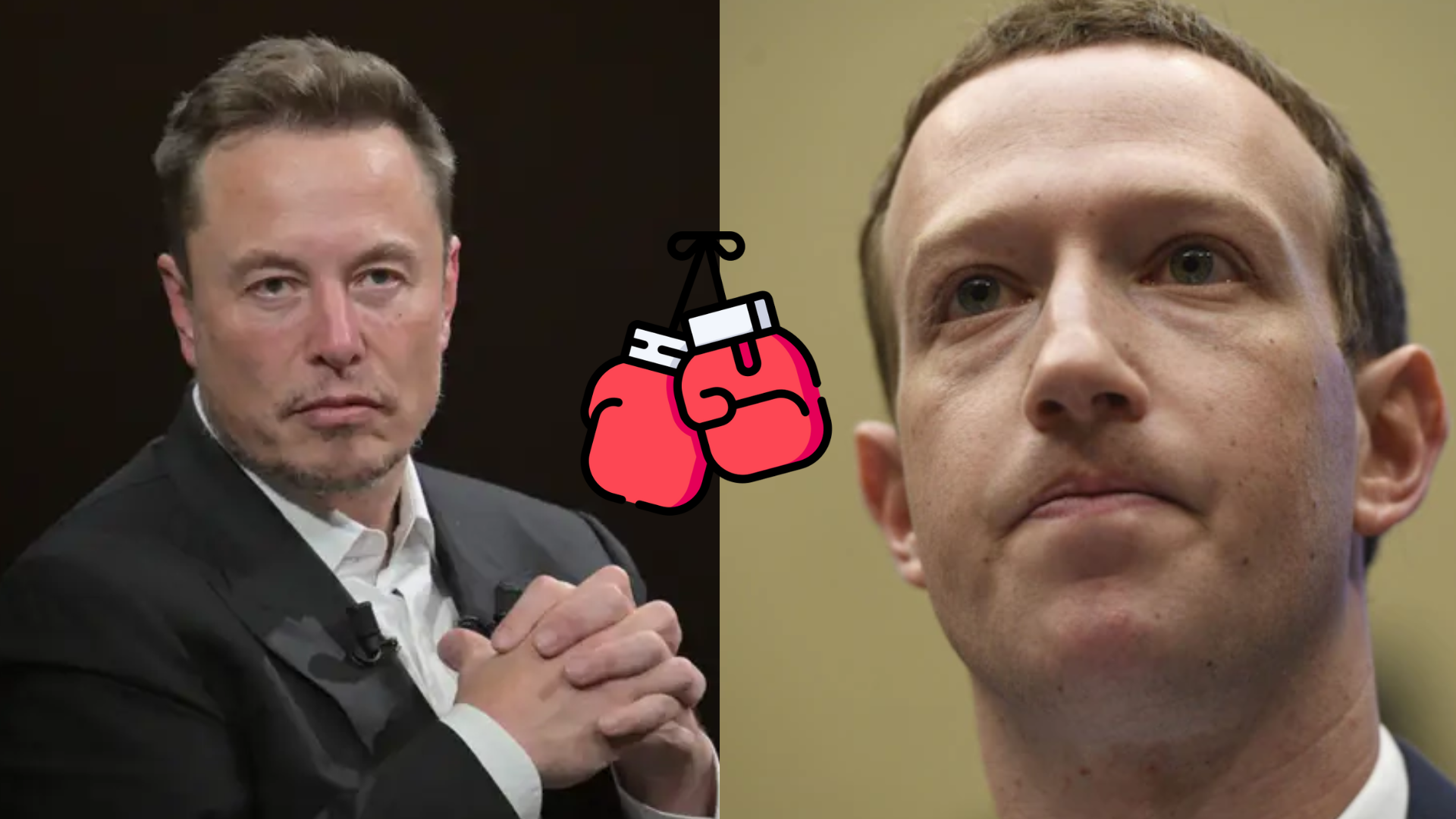 elon musk vs. mark zuckerberg cage match