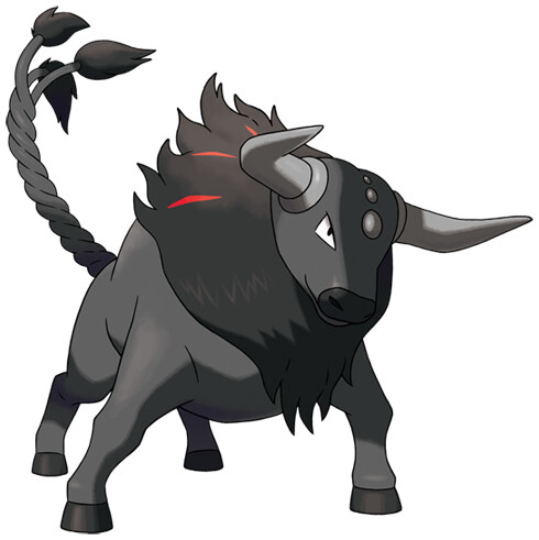 tauros