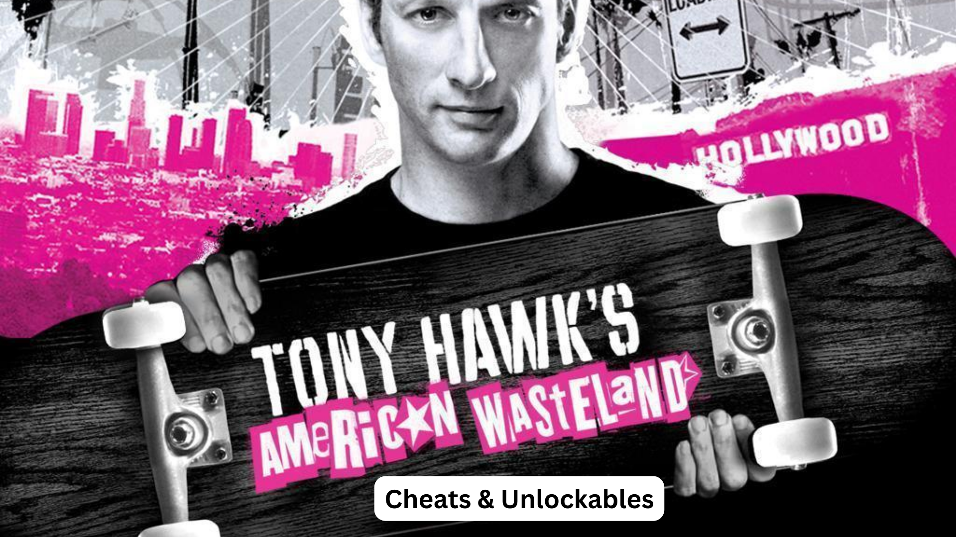 tony hawk's american wasteland cheats and unlockables