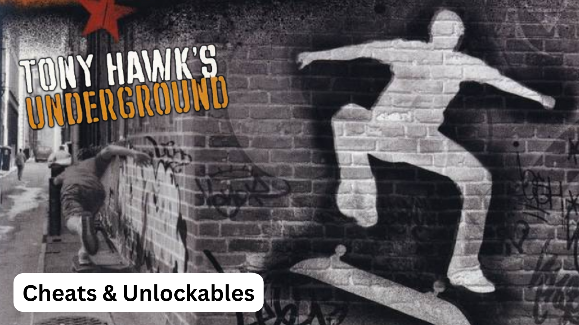 tony hawk's underground cheats and unlockables