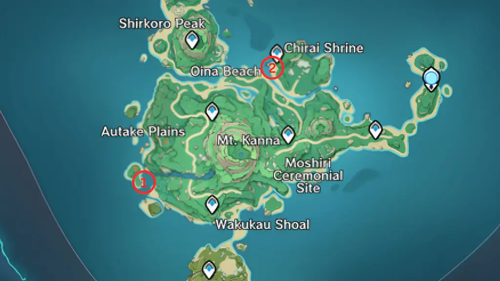 tsurumi island