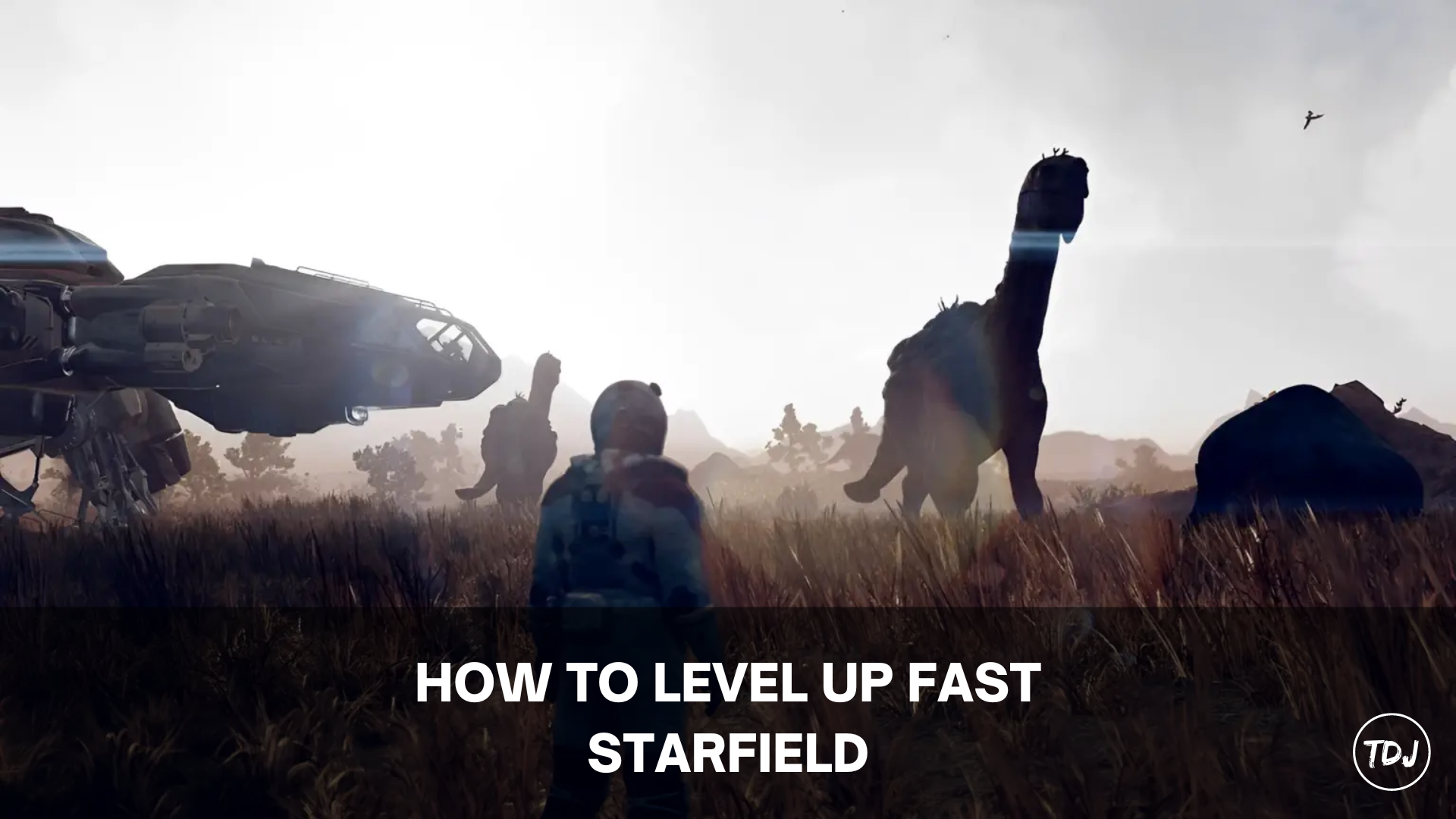 starfield how to level up fast