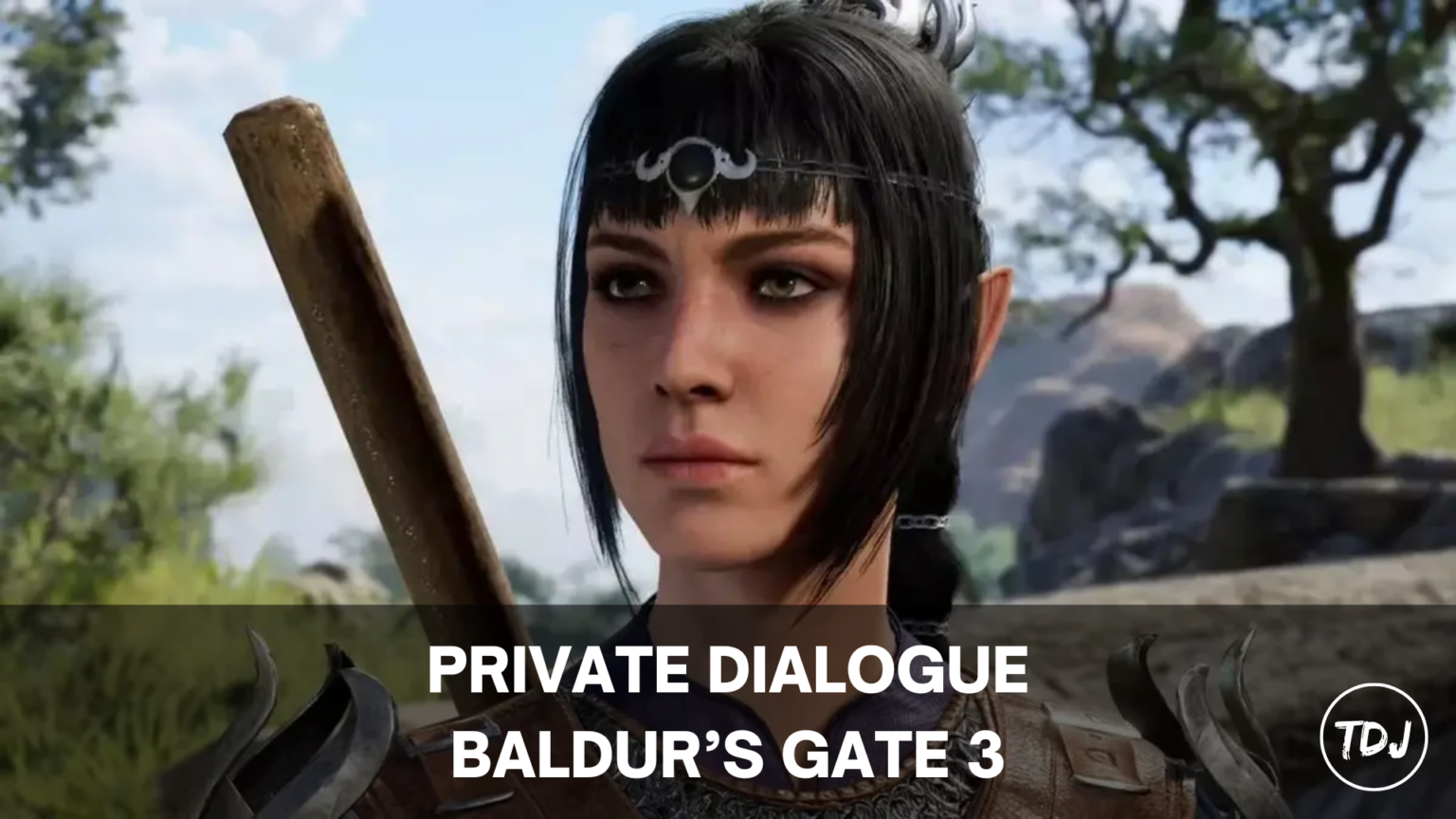 Baldur’s Gate 3 – Private Dialogue Explained – The Daily Juice