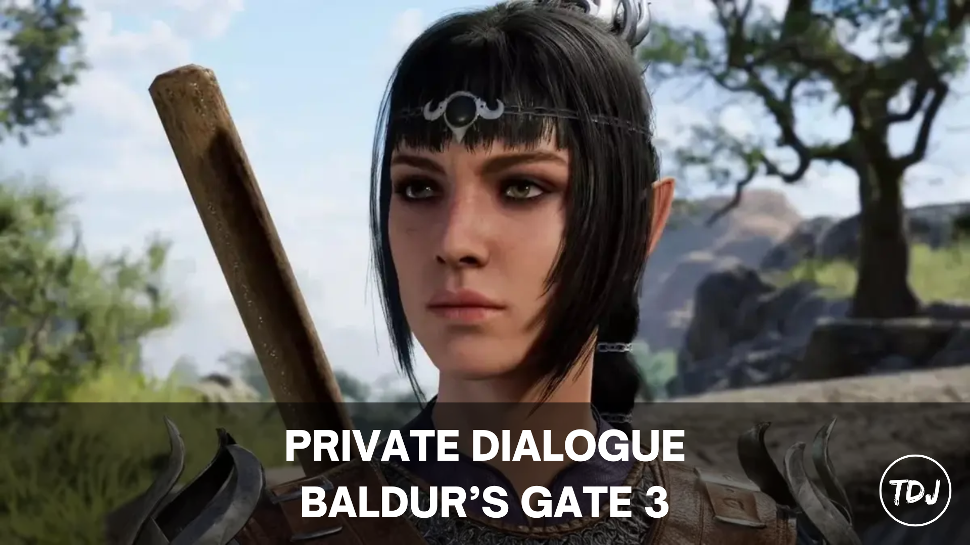 baldur's gate 3 private dialogue