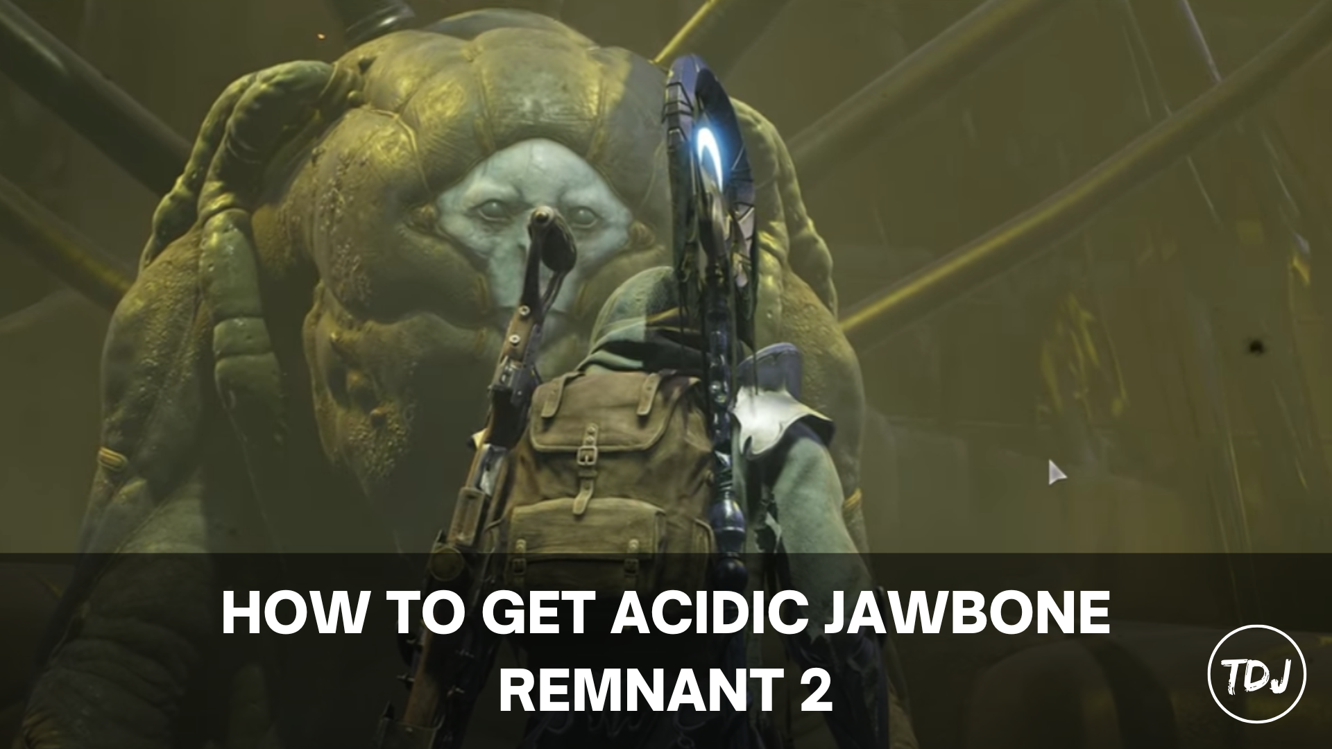 how to get an acidic jawbone remnant 2