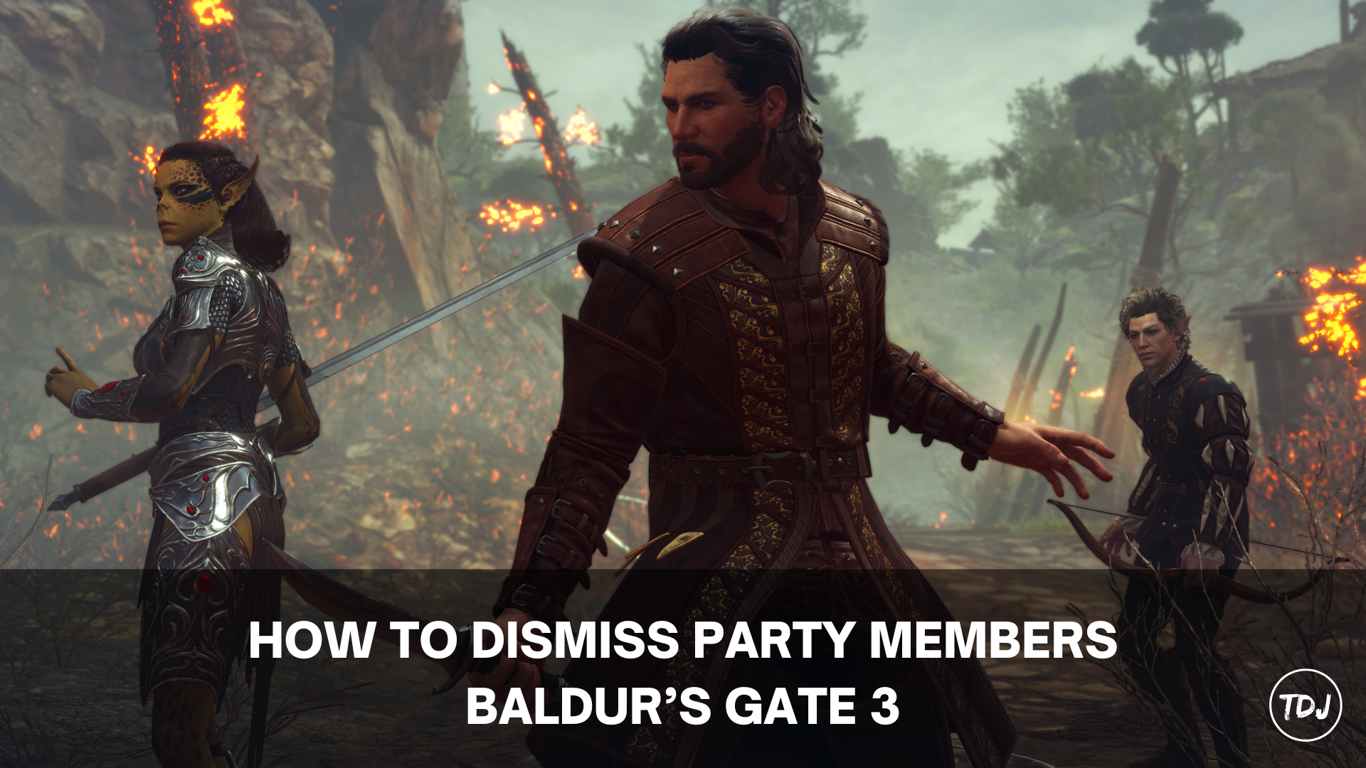 Baldur's Gate 3 - How to Dismiss Party Members | The Daily Juice