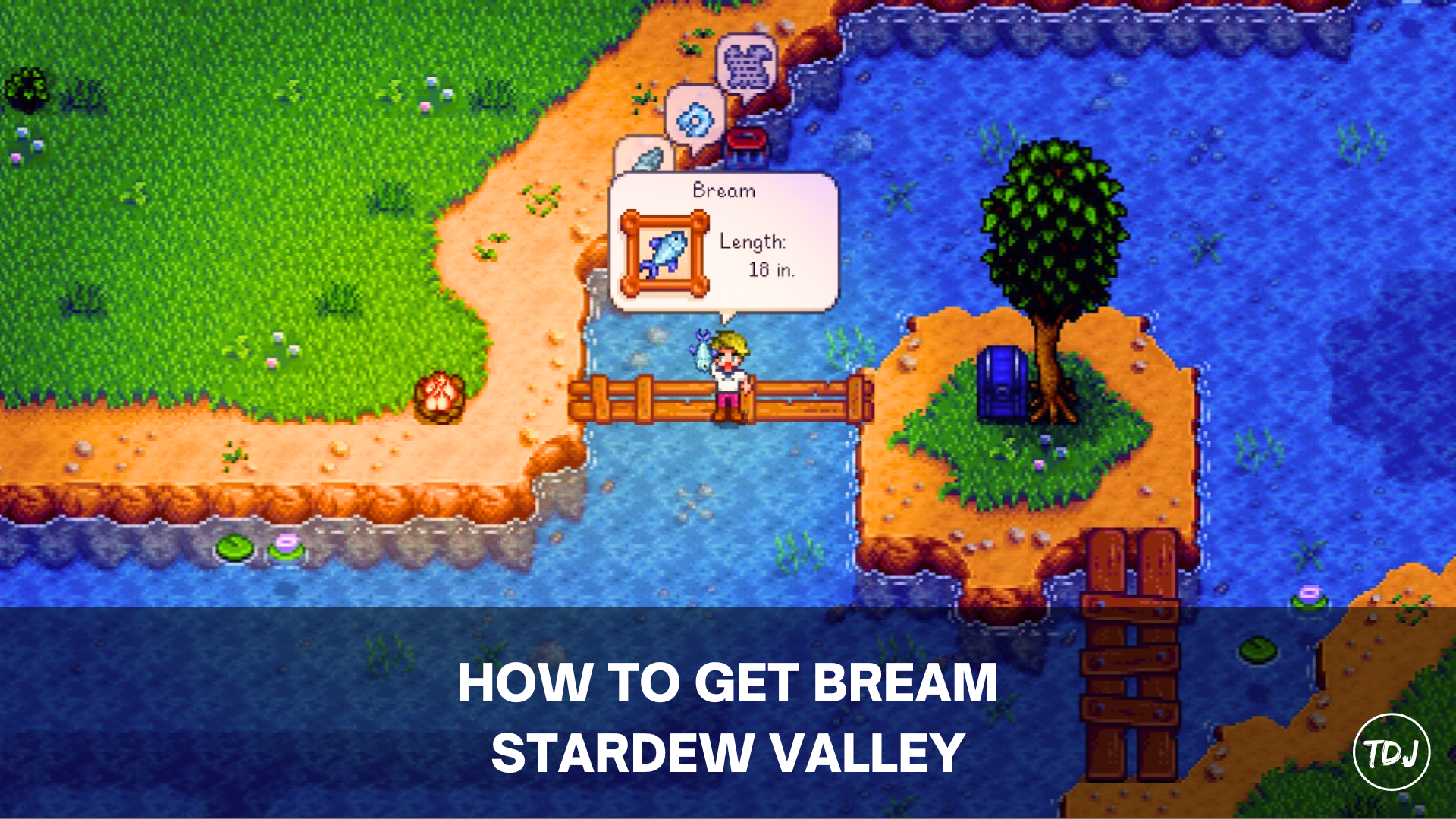 stardew valley how to get bream