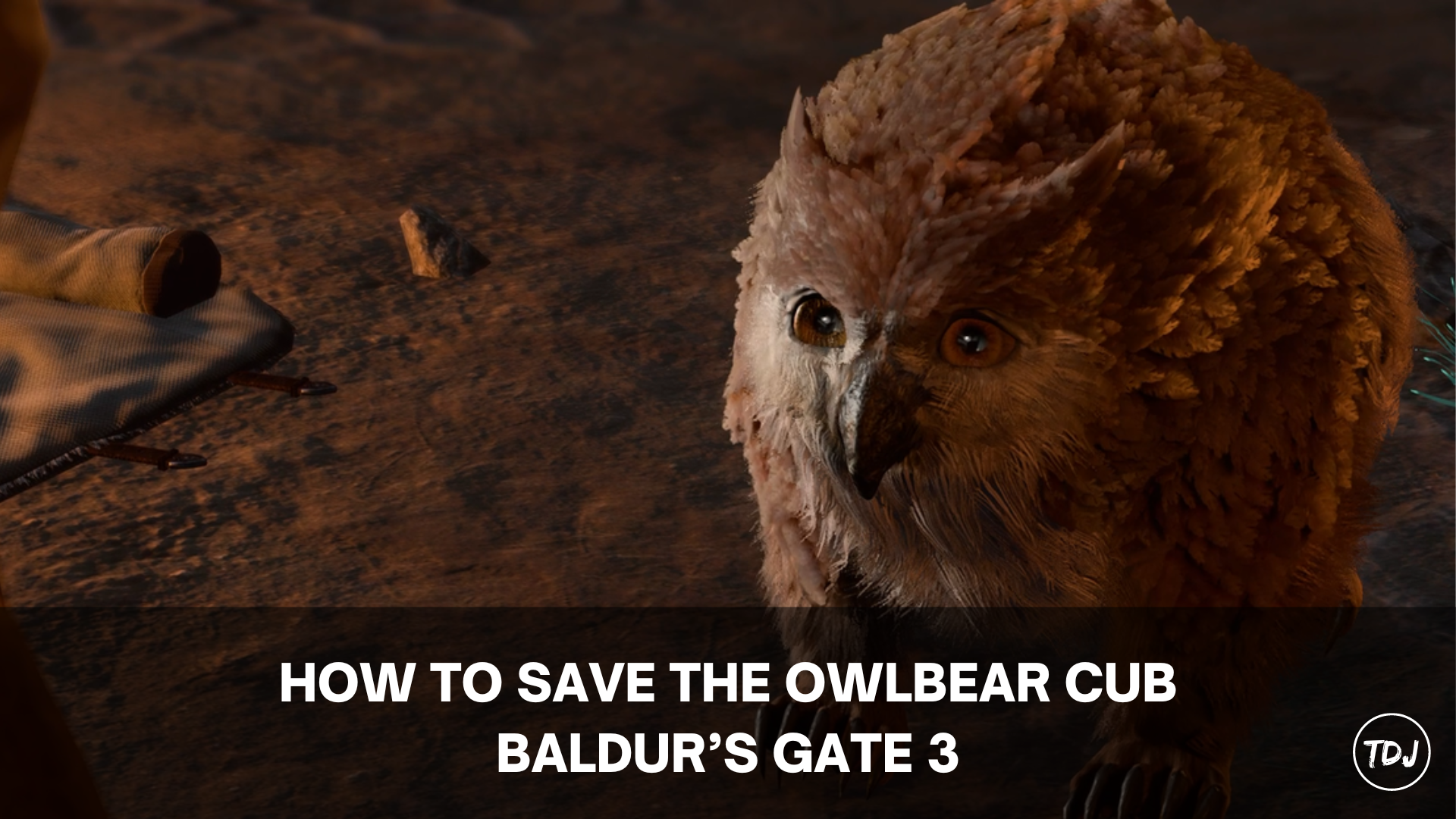 how to save the owlbear cub baldur's gate 3