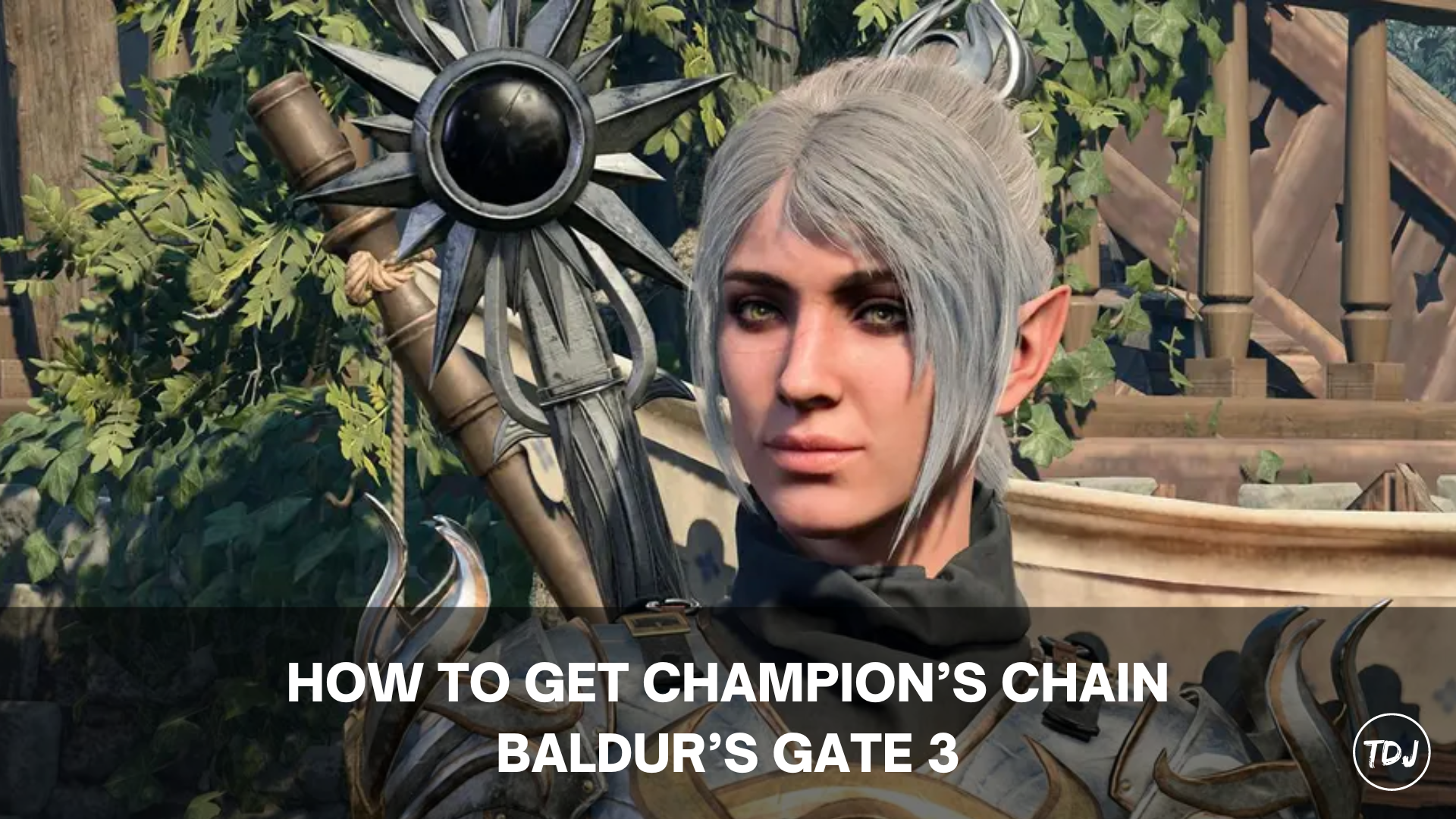 baldur's gate 3 champion's chain