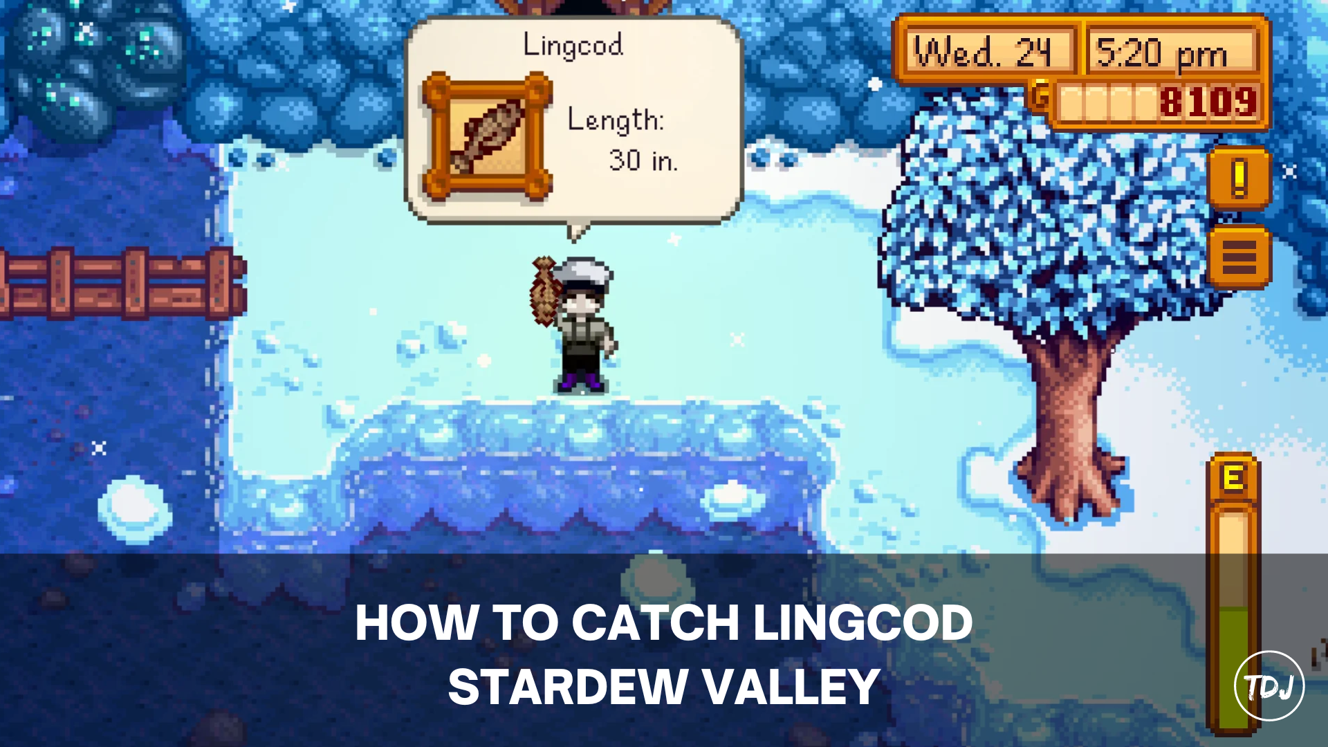 stardew valley how to catch lingcod