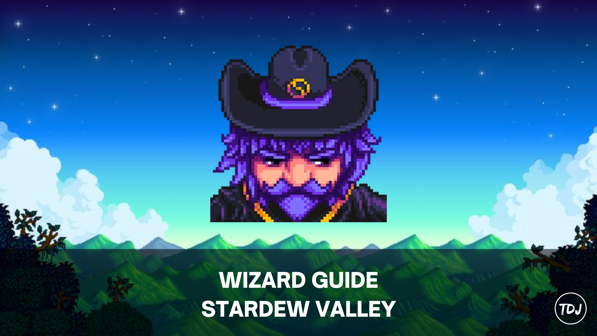 wizard guide stardew valley