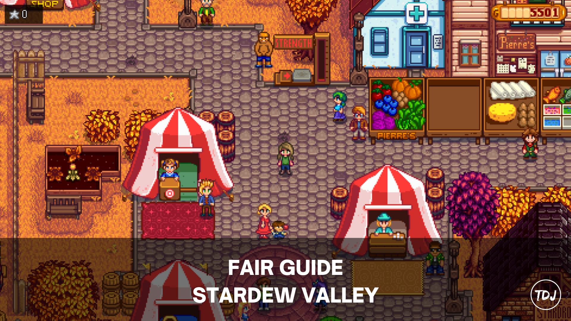 stardew valley fair guide
