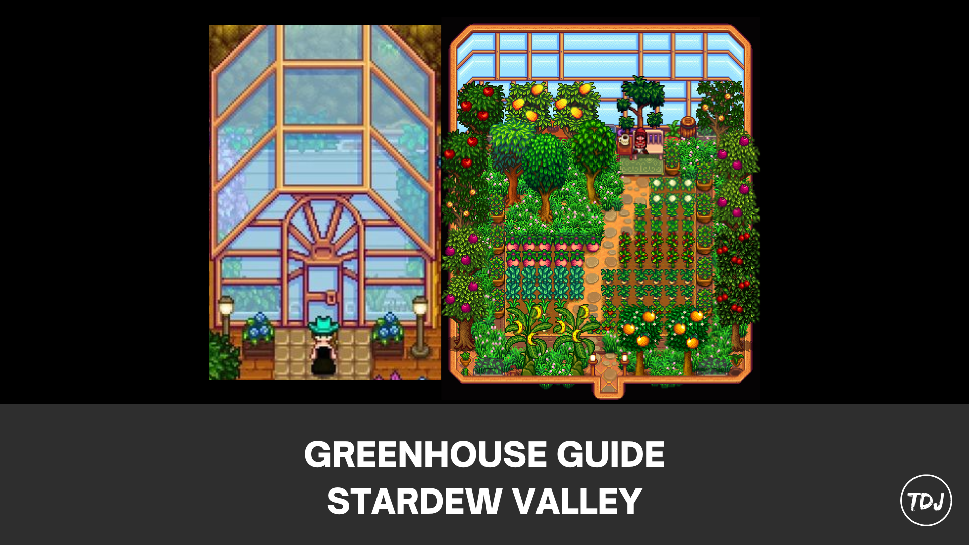 stardew valley greenhouse guide