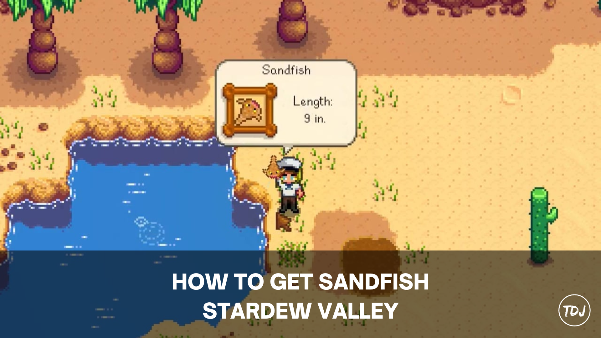 stardew valley how to get sandfish