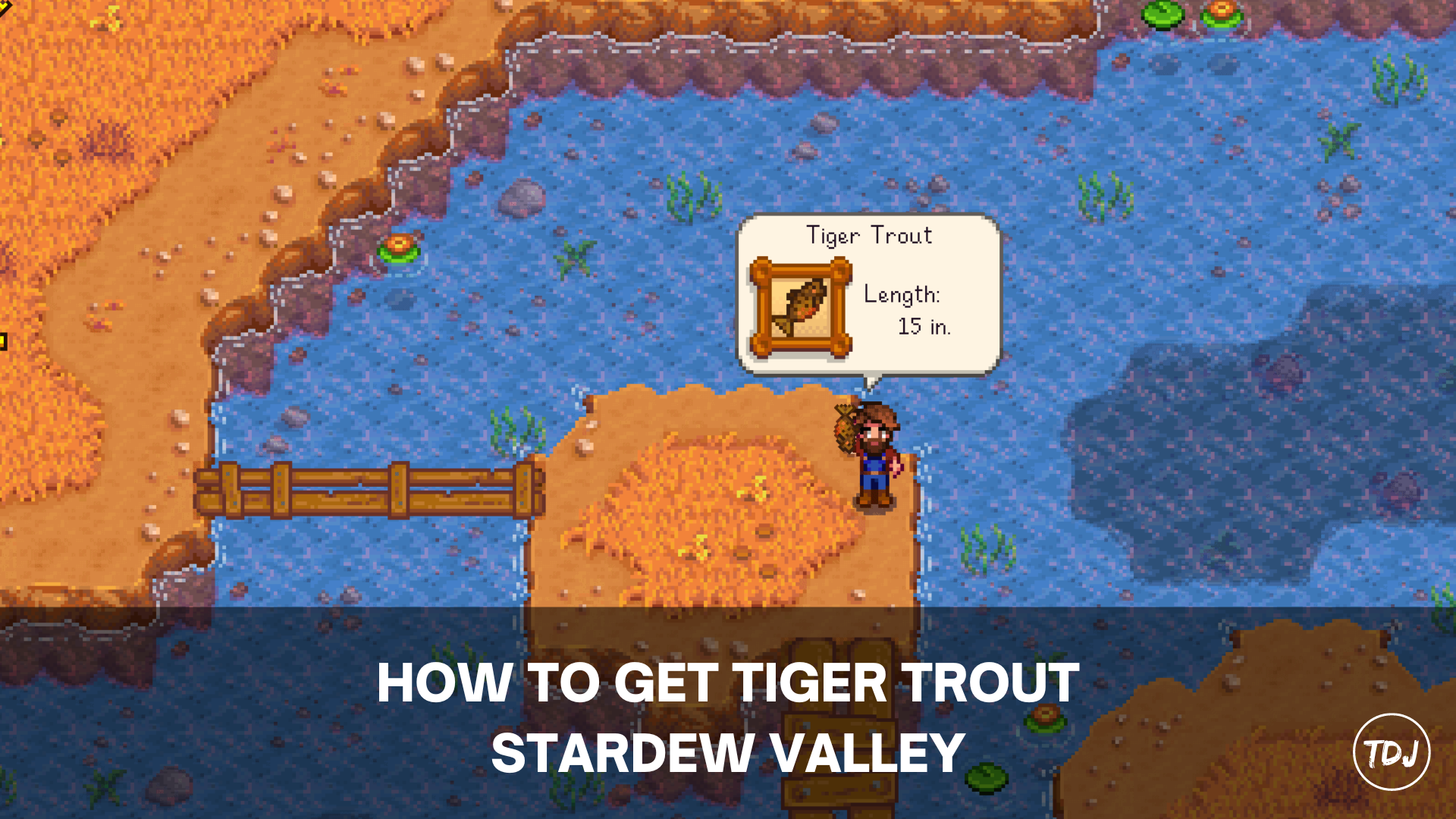 stardew valley how to get tiger trout