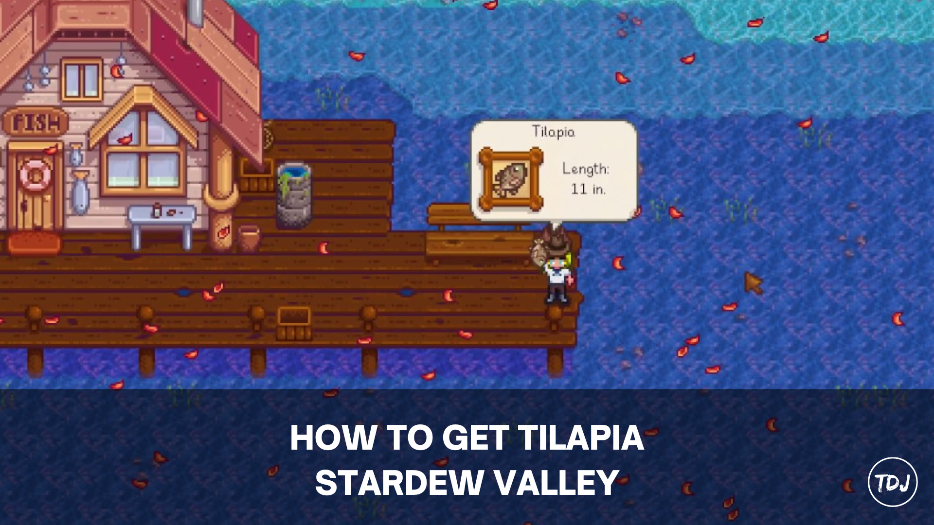 stardew valley how to get tilapia