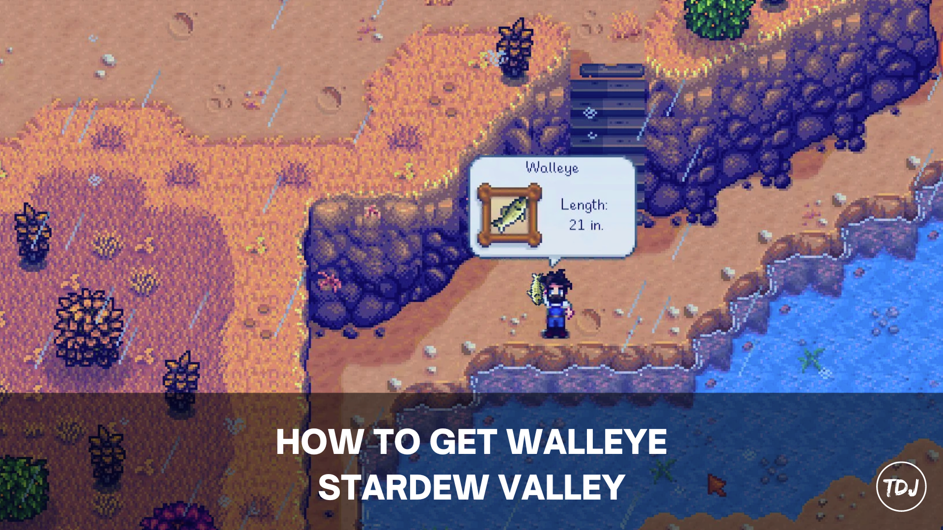 stardew valley how to get walleye