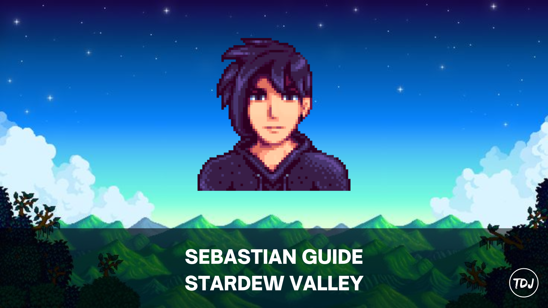 stardew valley sebastian guide