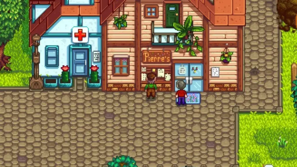 pierre's general store stardew valley