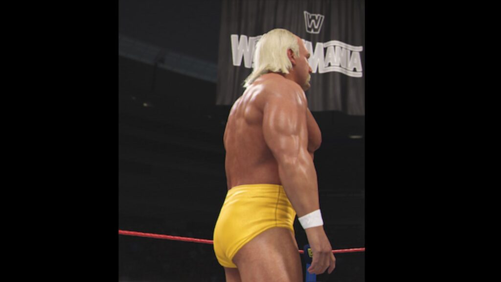 hulk hogan wwe 2k24