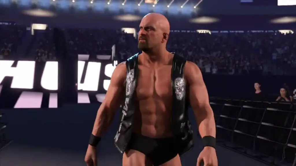 stone cold steve austin