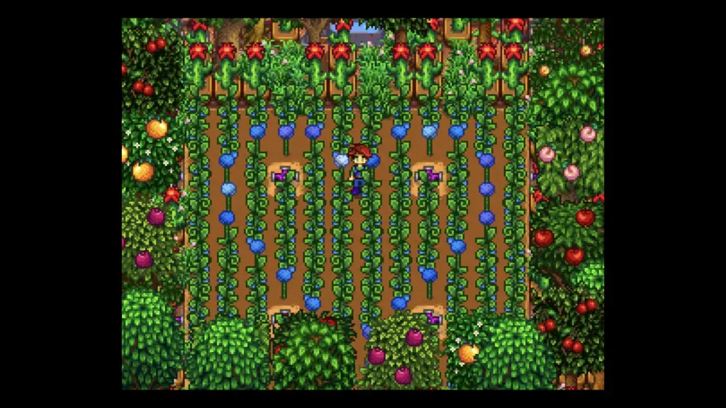 best greenhouse layouts and setups in stardew valley