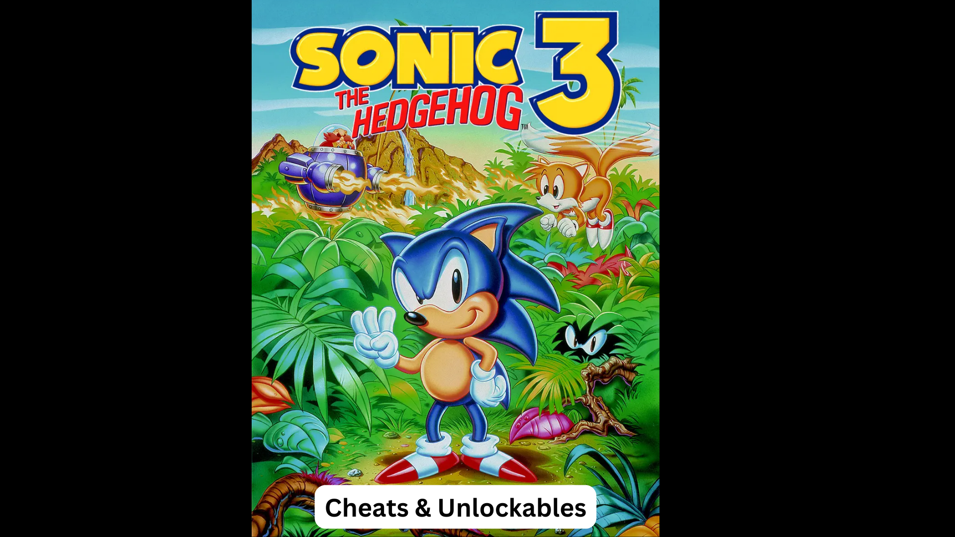 sonic the hedgehog 3 cheats and unlockables