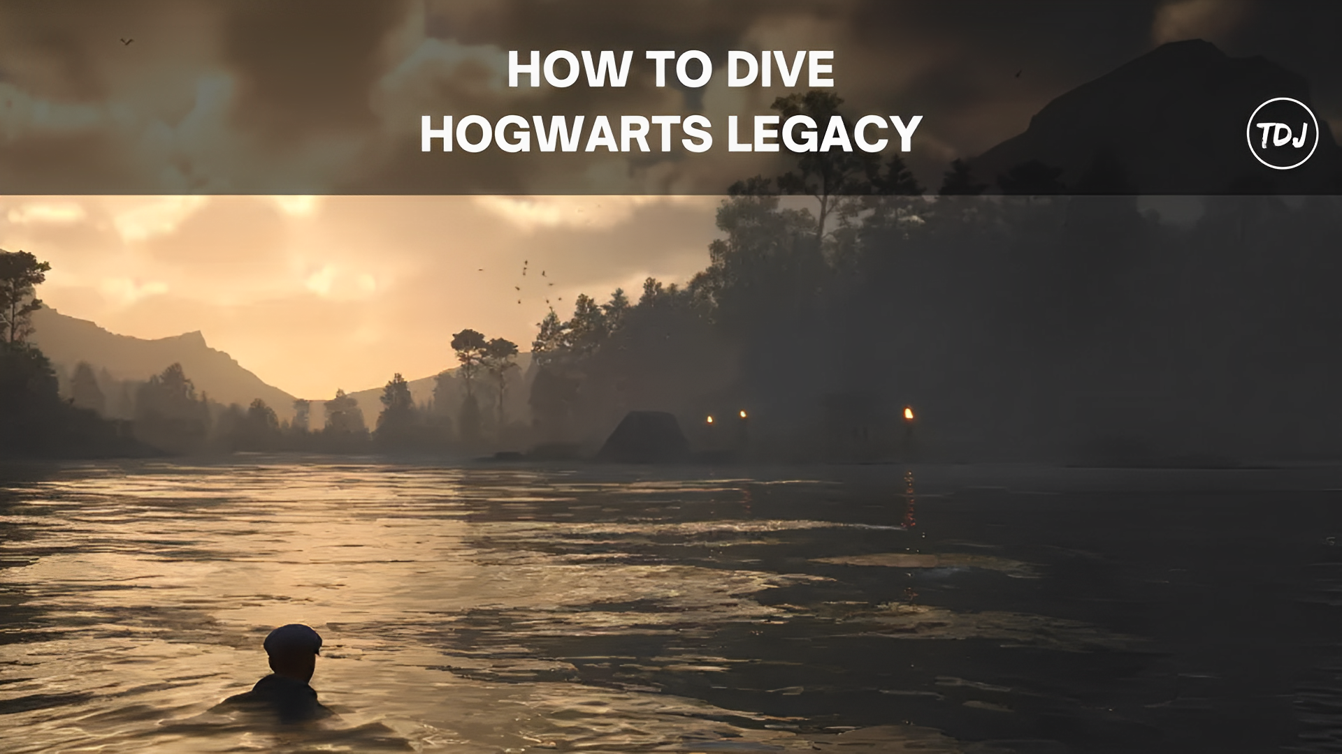 how to dive hogwarts legacy