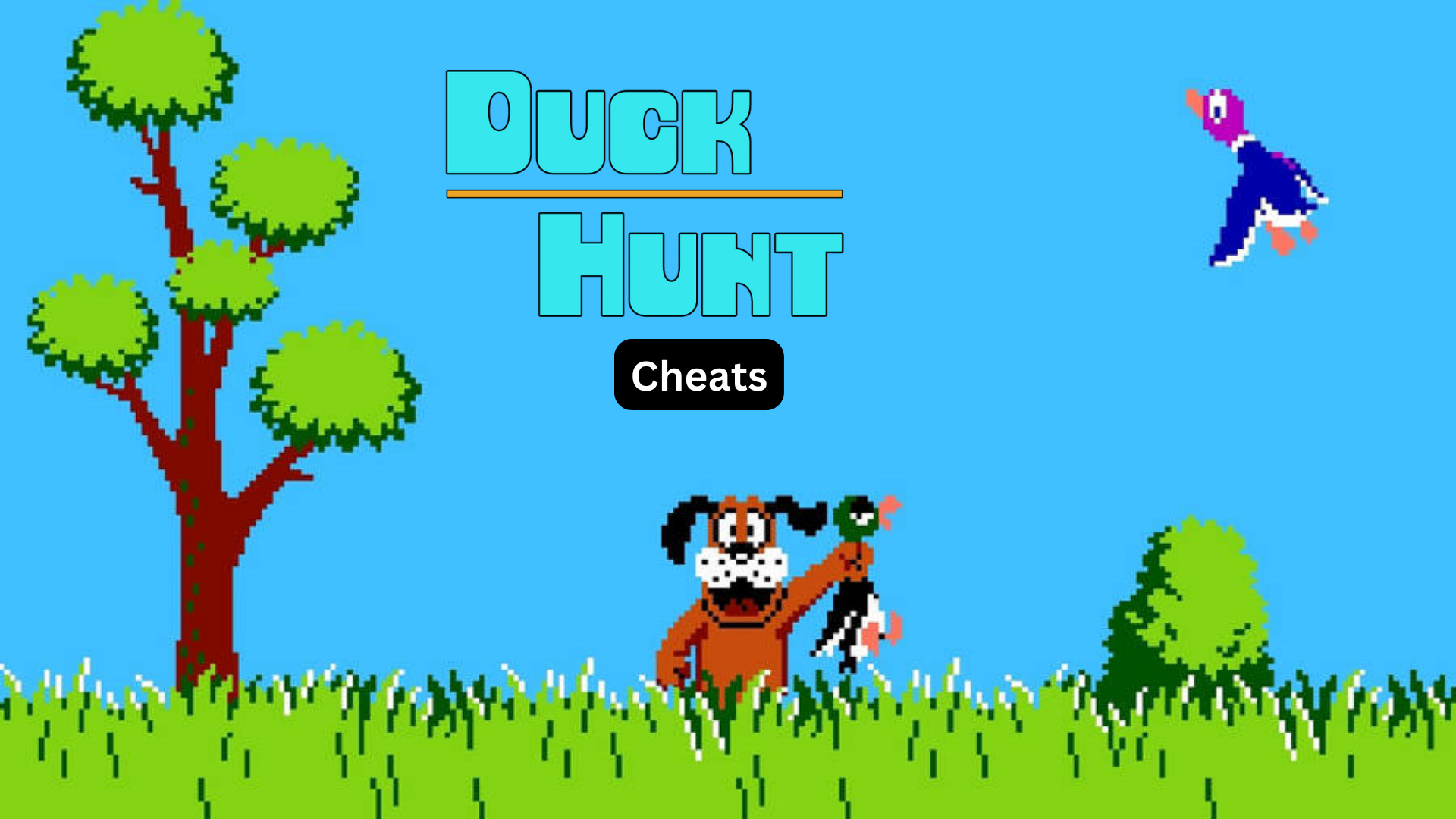 duck hunt cheats