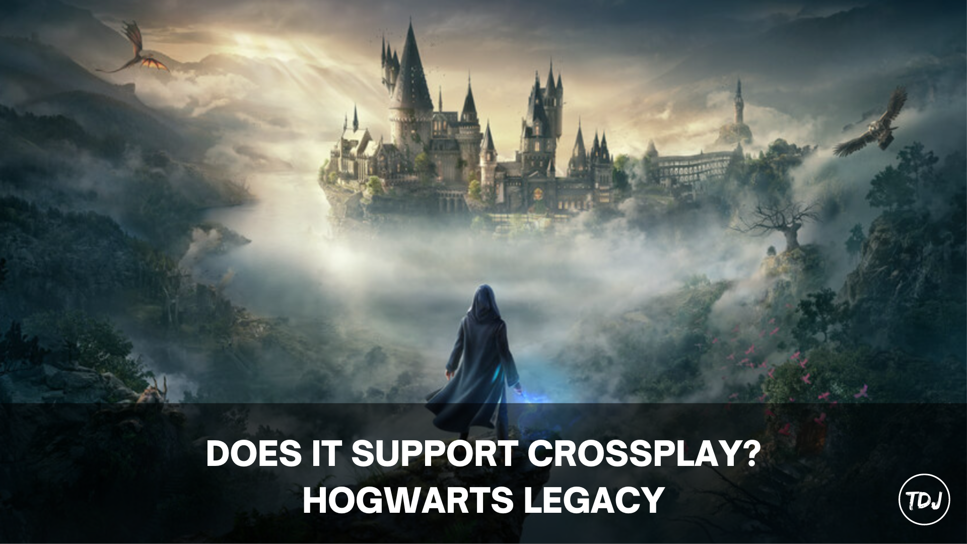 hogwarts legacy is it crossplay