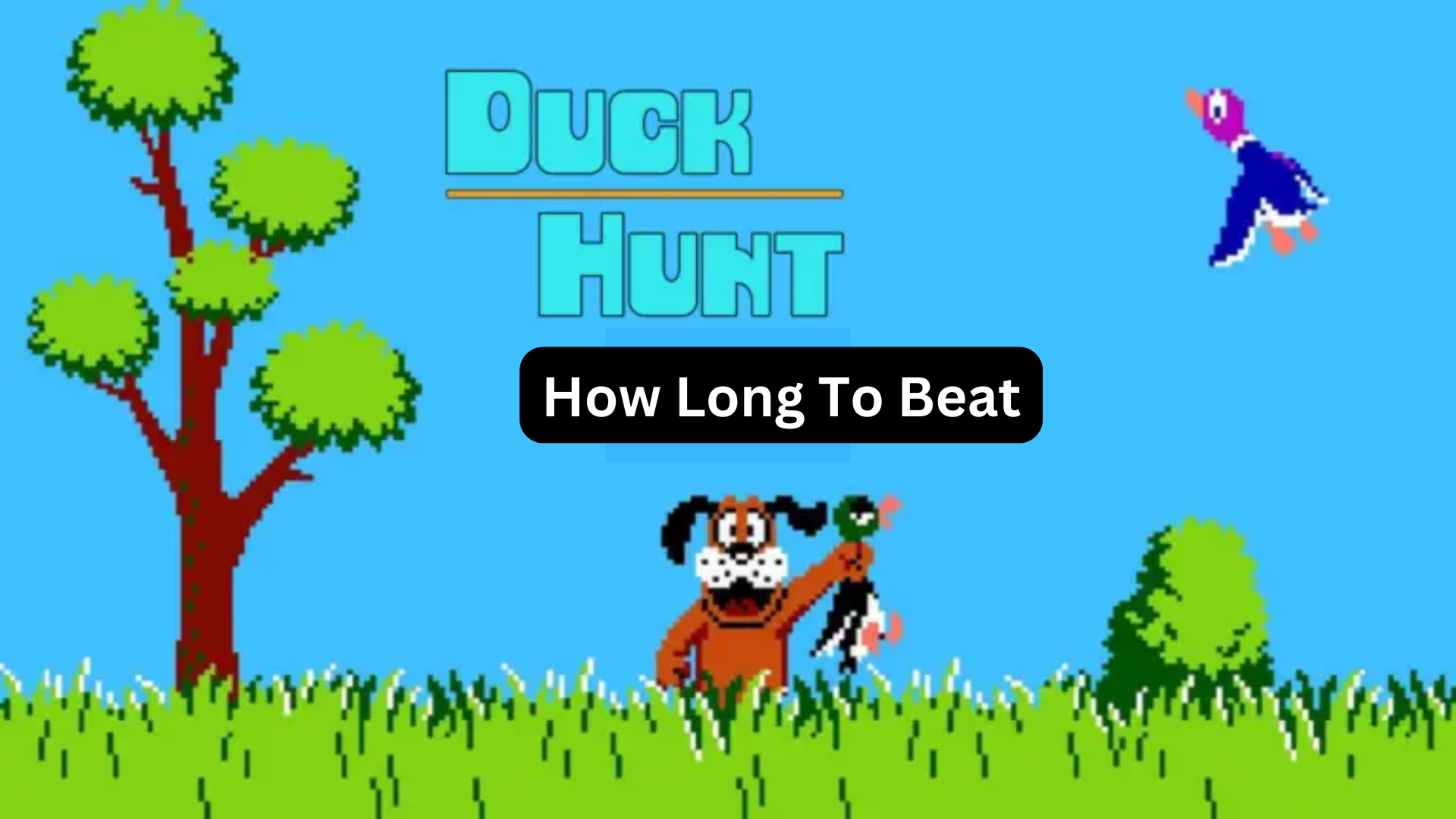 duck hunt how long to beat