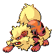 arcanine