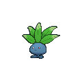 oddish