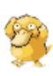 psyduck