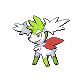 shaymin