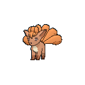 vulpix