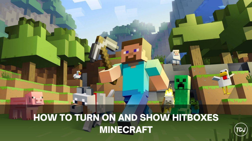 Minecraft - How to Turn On & Show Hitboxes | The Daily Juice