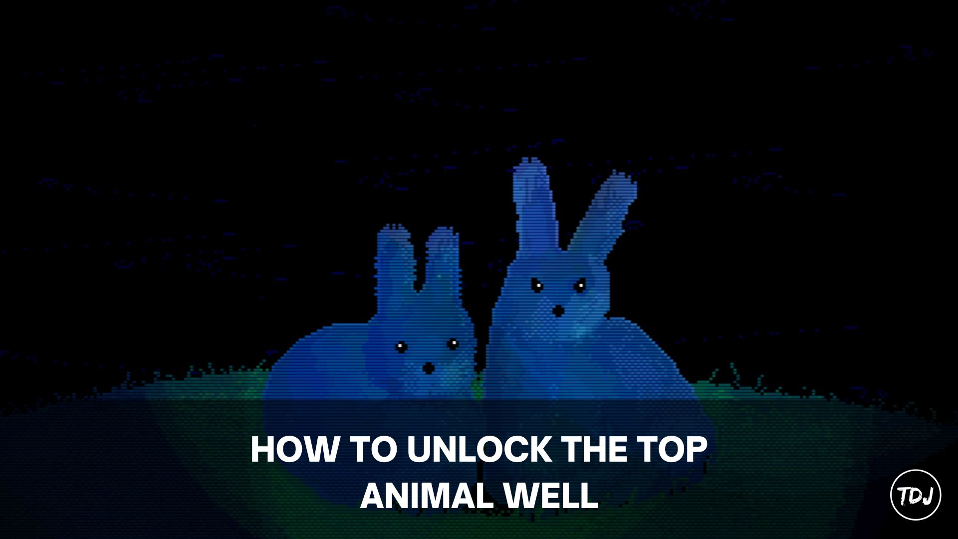 animal well how to unlock the top