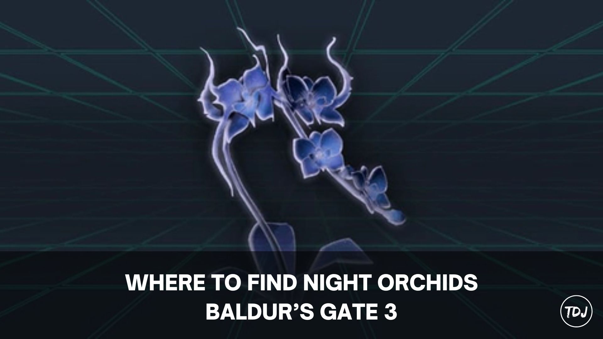 bg3 where to find night orchids