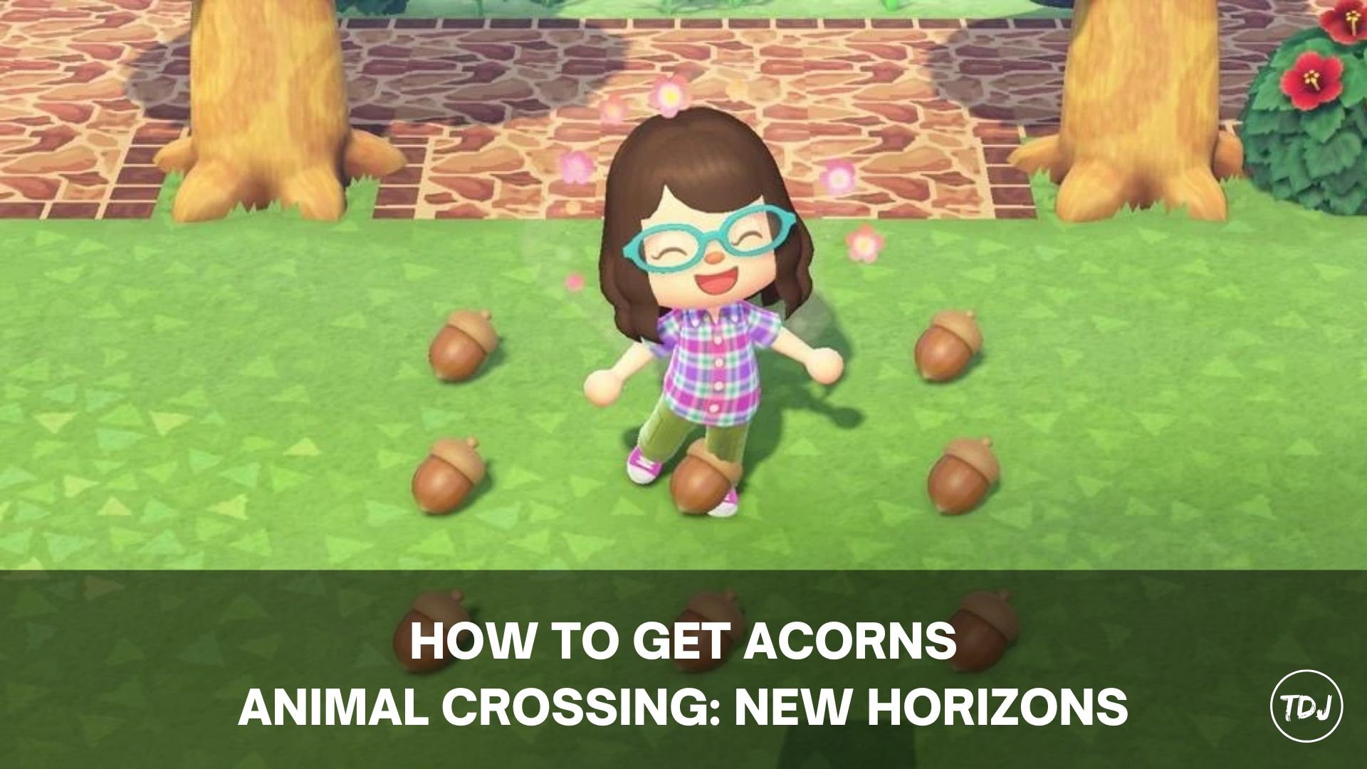 acnh how to get acorns